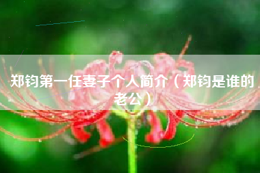 郑钧第一任妻子个人简介（郑钧是谁的老公）