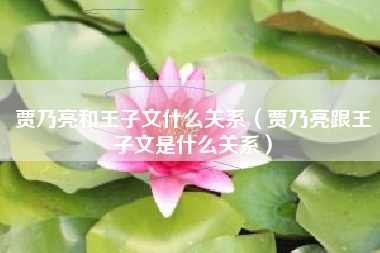 贾乃亮和王子文什么关系（贾乃亮跟王子文是什么关系）