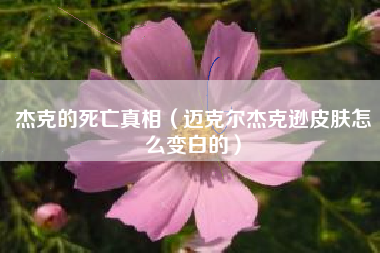 杰克的死亡真相（迈克尔杰克逊皮肤怎么变白的）