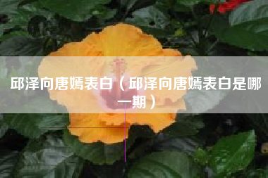 邱泽向唐嫣表白（邱泽向唐嫣表白是哪一期）