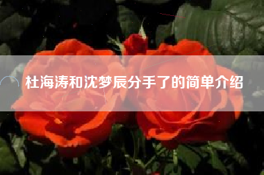 杜海涛和沈梦辰分手了的简单介绍