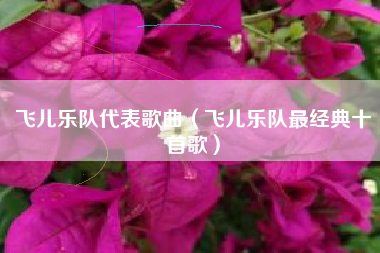 飞儿乐队代表歌曲（飞儿乐队最经典十首歌）