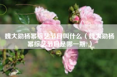 魏大勋杨幂综艺节目叫什么（魏大勋杨幂综艺节目是哪一期?）