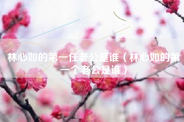 林心如的第一任老公是谁（林心如的第一个老公是谁）