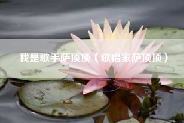 我是歌手萨顶顶（歌唱家萨顶顶）