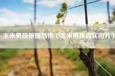 玉米男孩原图恐怖（玉米男孩真实图片）