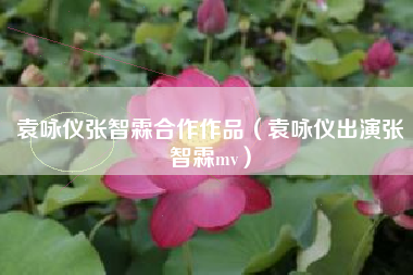 袁咏仪张智霖合作作品（袁咏仪出演张智霖mv）