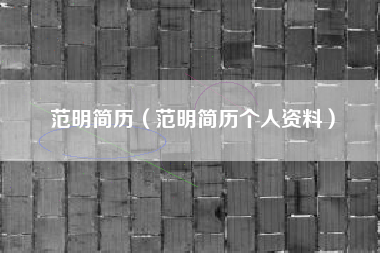 范明简历（范明简历个人资料）