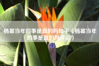 杨幂当年的事是真的吗知乎（杨幂当年的事是真的吗评论）