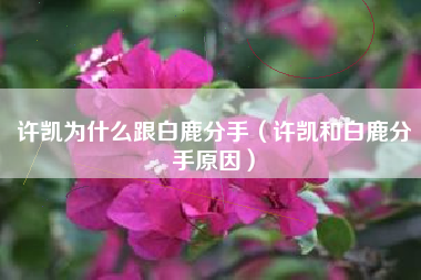 许凯为什么跟白鹿分手（许凯和白鹿分手原因）