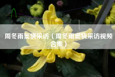 周冬雨窦骁采访（周冬雨窦骁采访视频合集）