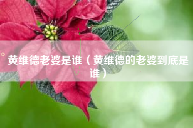 黄维德老婆是谁（黄维德的老婆到底是谁）
