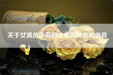 关于女演员牛莉的丈夫叫啥名的信息