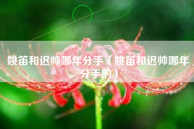 姚笛和迟帅哪年分手（姚笛和迟帅哪年分手的）