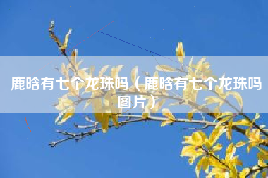 鹿晗有七个龙珠吗（鹿晗有七个龙珠吗图片）