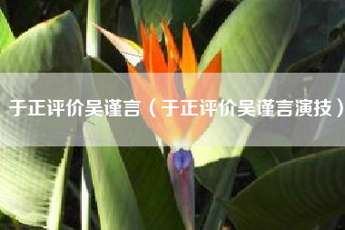 于正评价吴谨言（于正评价吴谨言演技）