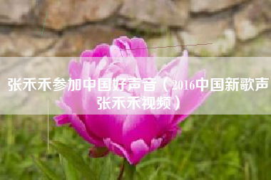 张禾禾参加中国好声音（2016中国新歌声张禾禾视频）