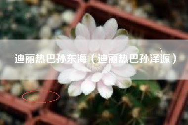 迪丽热巴孙东海（迪丽热巴孙泽源）