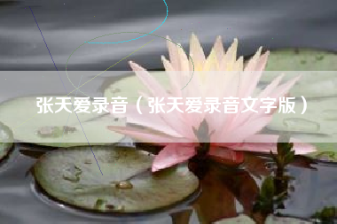 张天爱录音（张天爱录音文字版）