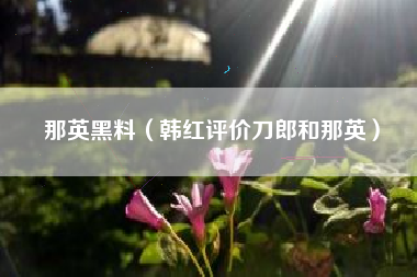 那英黑料（韩红评价刀郎和那英）