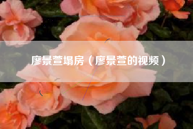 廖景萱塌房（廖景萱的视频）