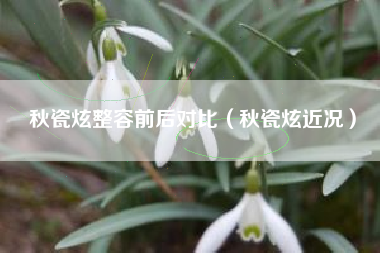 秋瓷炫整容前后对比（秋瓷炫近况）