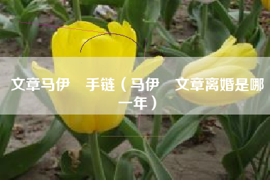 文章马伊琍手链（马伊琍文章离婚是哪一年）