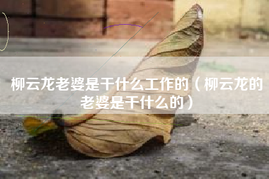 柳云龙老婆是干什么工作的（柳云龙的老婆是干什么的）