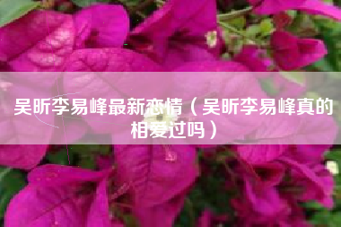 吴昕李易峰最新恋情（吴昕李易峰真的相爱过吗）