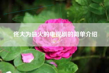 佟大为最火的电视剧的简单介绍