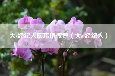 大s经纪人廖玮琪微博（大s 经纪人）