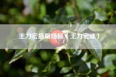 王力宏最后结局（王力宏谁）