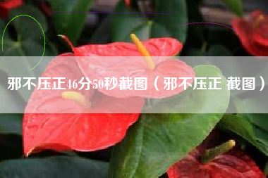 邪不压正46分50秒截图（邪不压正 截图）