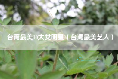 台湾最美10大女明星（台湾最美艺人）