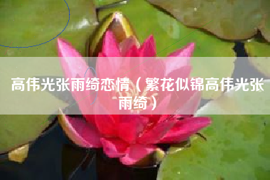 高伟光张雨绮恋情（繁花似锦高伟光张雨绮）