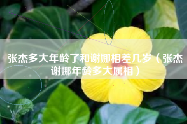 张杰多大年龄了和谢娜相差几岁（张杰谢娜年龄多大属相）