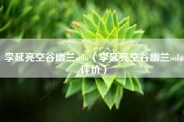 李延亮空谷幽兰solo（李延亮空谷幽兰solo评价）