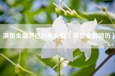 演员金瀚演过的电视剧（演员金瀚简历）
