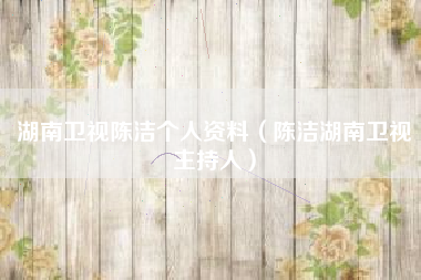 湖南卫视陈洁个人资料（陈洁湖南卫视主持人）