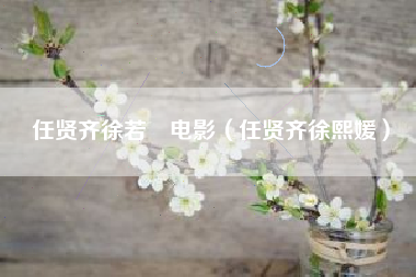 任贤齐徐若瑄电影（任贤齐徐熙媛）