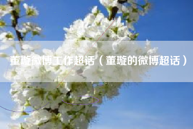 董璇微博工作超话（董璇的微博超话）