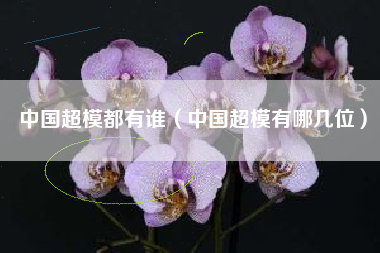 中国超模都有谁（中国超模有哪几位）