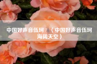 中国好声音伍珂玥（中国好声音伍珂玥海阔天空）