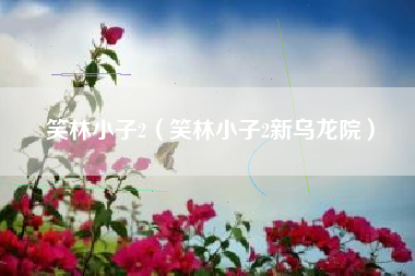 笑林小子2（笑林小子2新乌龙院）