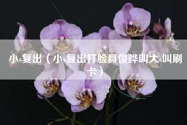 小s复出（小s复出打脸具俊晔叫大s叫刷卡）