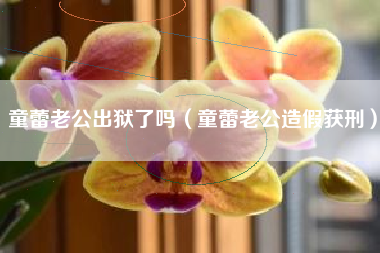 童蕾老公出狱了吗（童蕾老公造假获刑）
