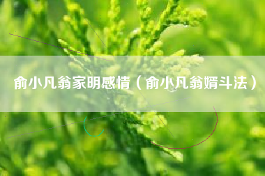 俞小凡翁家明感情（俞小凡翁婿斗法）