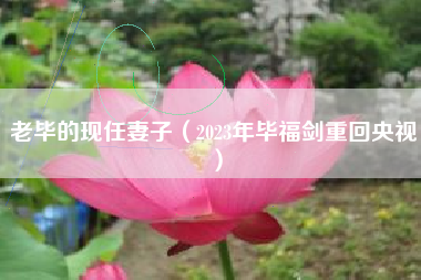 老毕的现任妻子（2023年毕福剑重回央视）