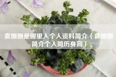 袁姗姗是哪里人个人资料简介（袁姗姗简介个人简历身高）