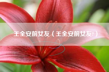 王全安前女友（王全安前女友?）